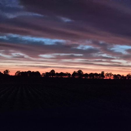 Slapen Aan De Voet Van De Molen Ovezande Exteriör bild