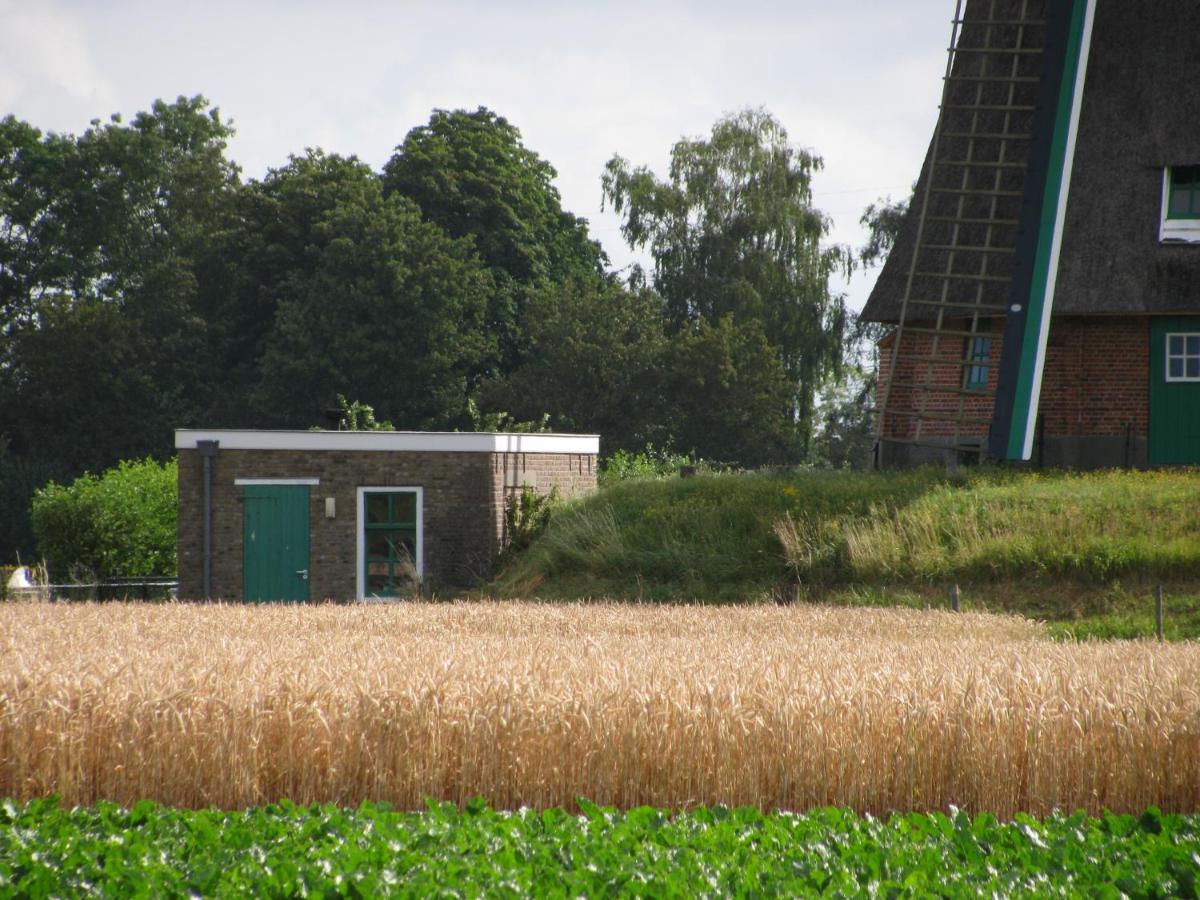 Slapen Aan De Voet Van De Molen Ovezande Exteriör bild
