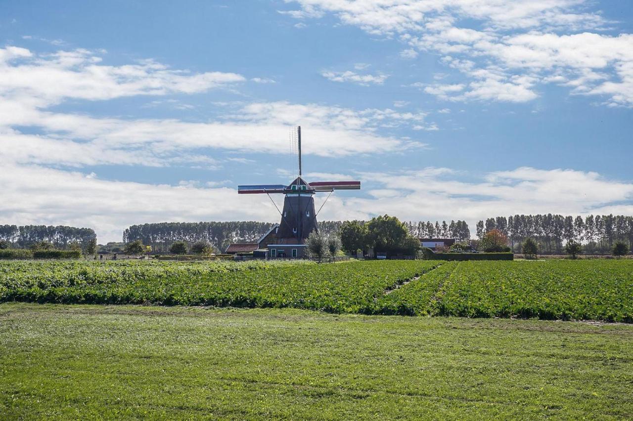 Slapen Aan De Voet Van De Molen Ovezande Exteriör bild