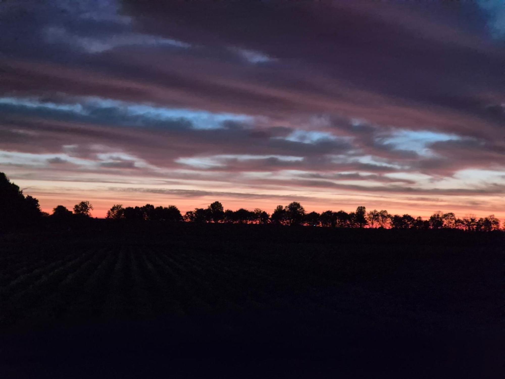 Slapen Aan De Voet Van De Molen Ovezande Exteriör bild