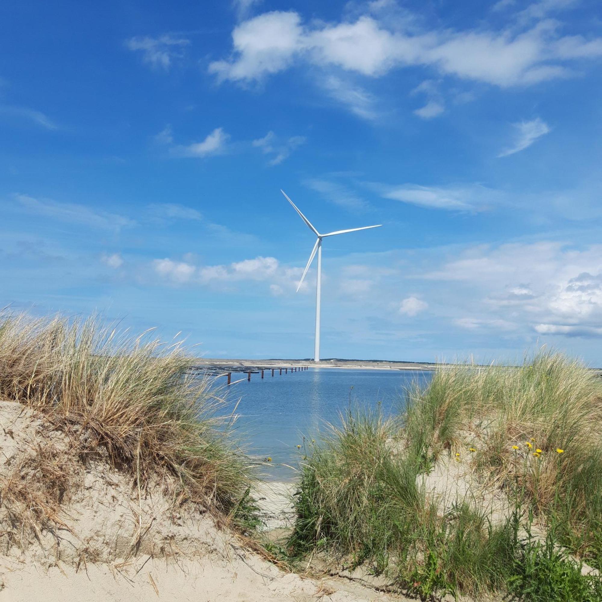 Slapen Aan De Voet Van De Molen Ovezande Exteriör bild